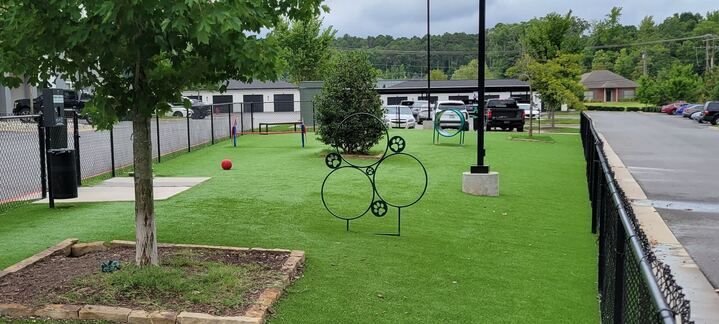 A dog park with a fence and a tree in the middle of it.