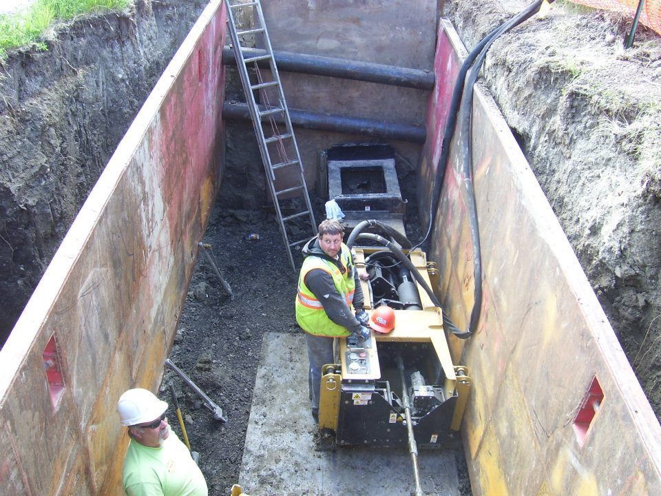 White Elite Plumbing van parked outdoors with logo.