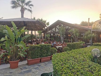 Un ristorante con tavoli, sedie, ombrelloni e piante in vaso di fronte.