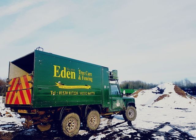Eden Tree Care Branded Van