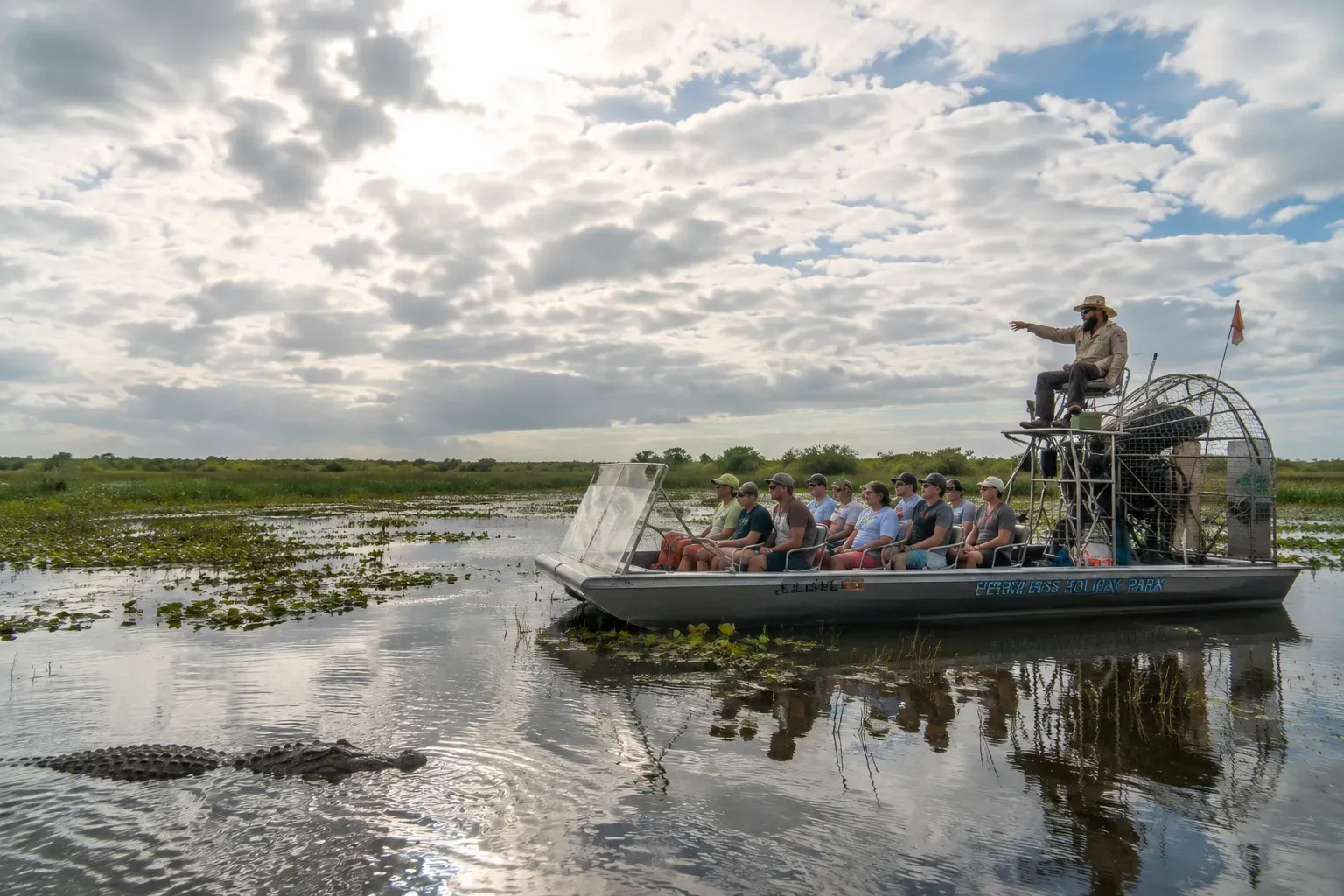 Everglades airboat tour guide pointing out an American alligator during a wildlife encounter in the Florida Everglades