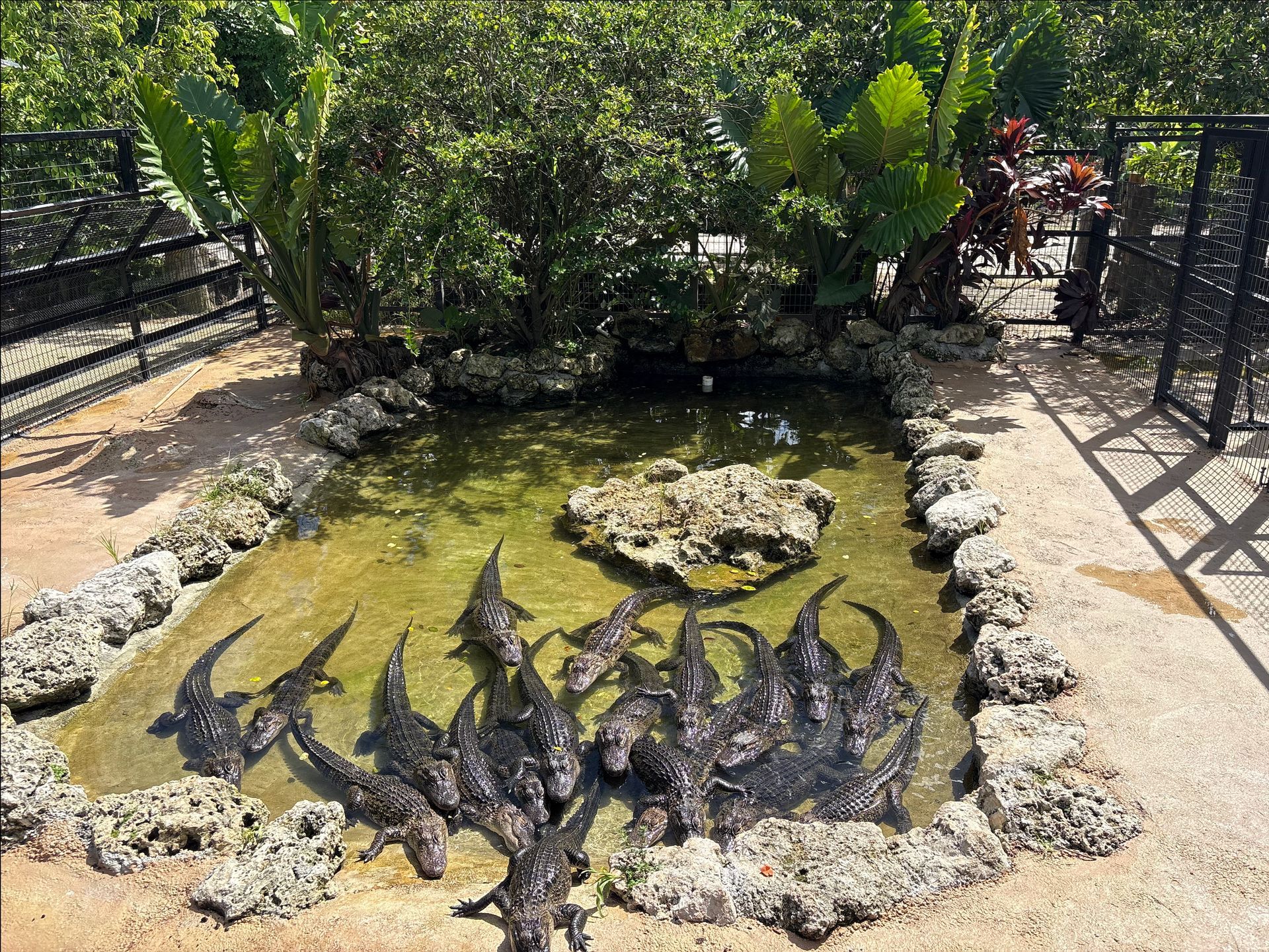 Everglades Boat Tours