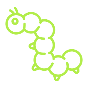 A green line drawing of a caterpillar on a white background.