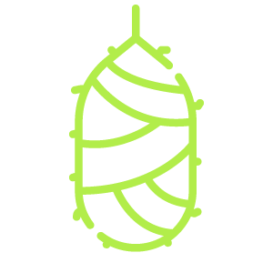 A green line drawing of a leaf on a white background.