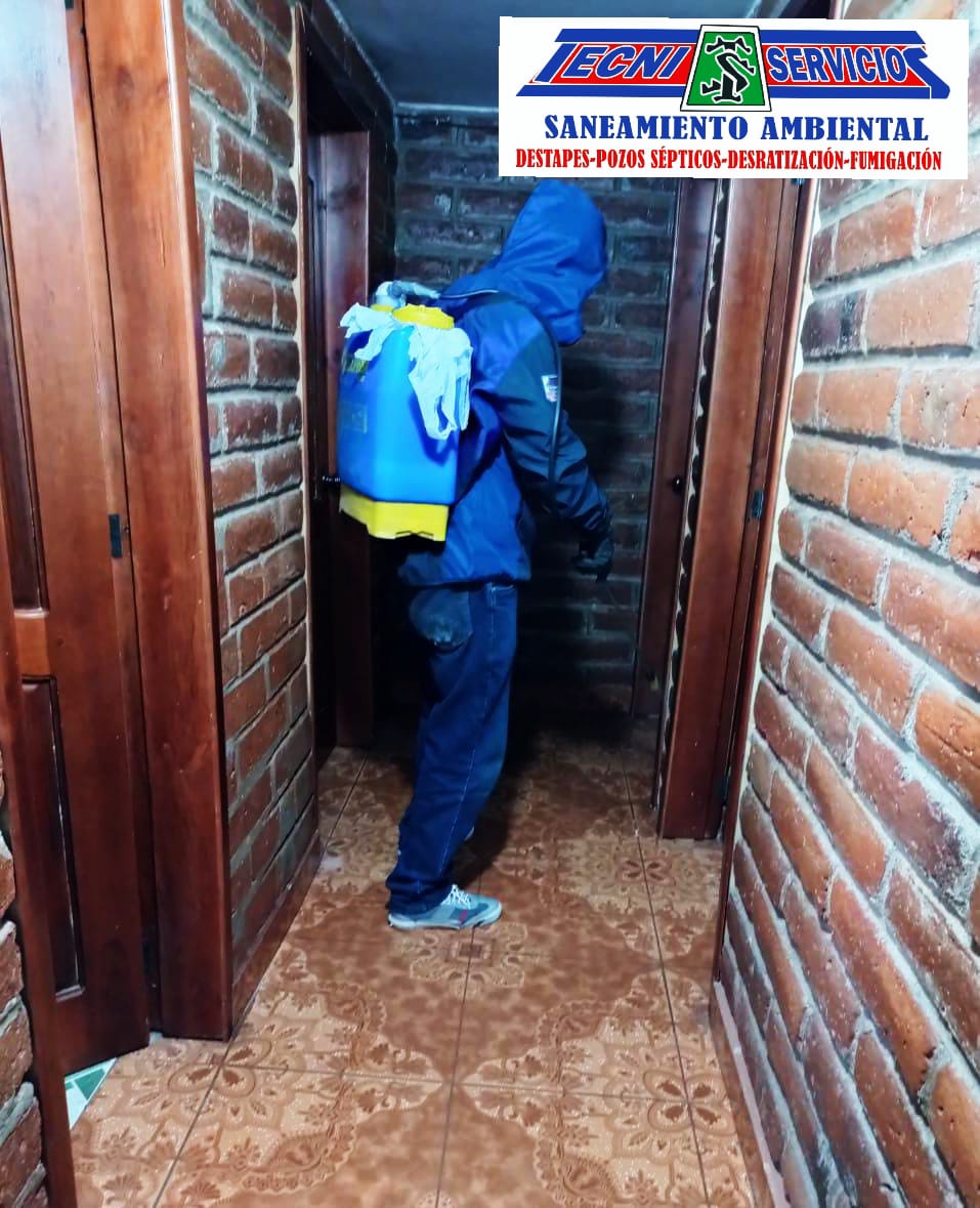 Fumigación de plagas