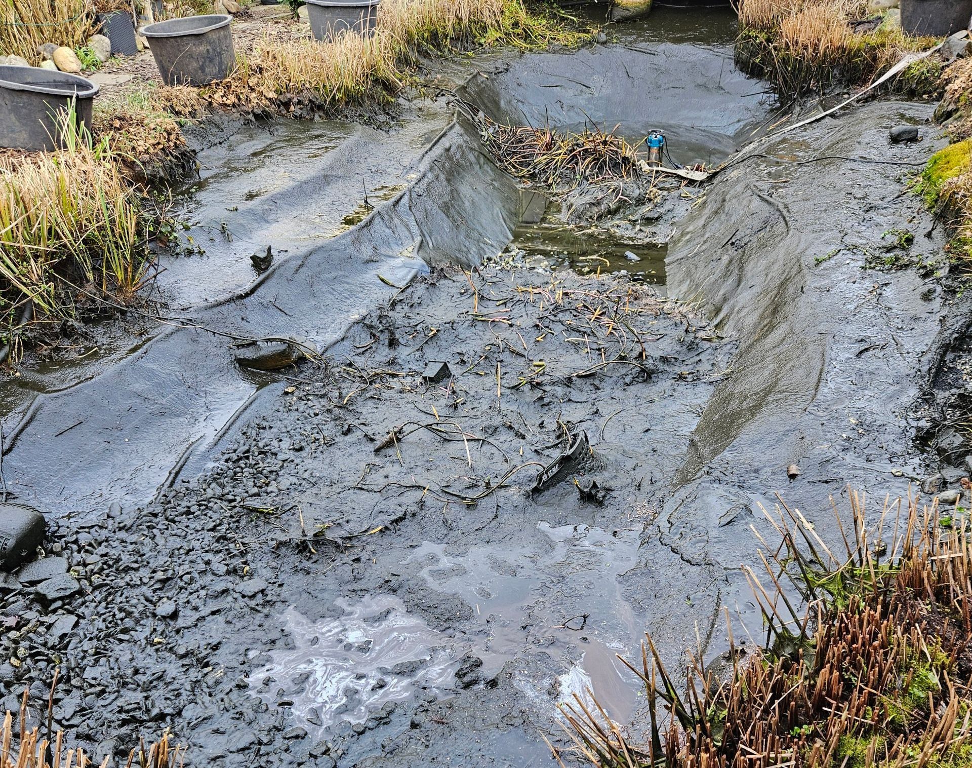 Teichrückbau Düsseldorf