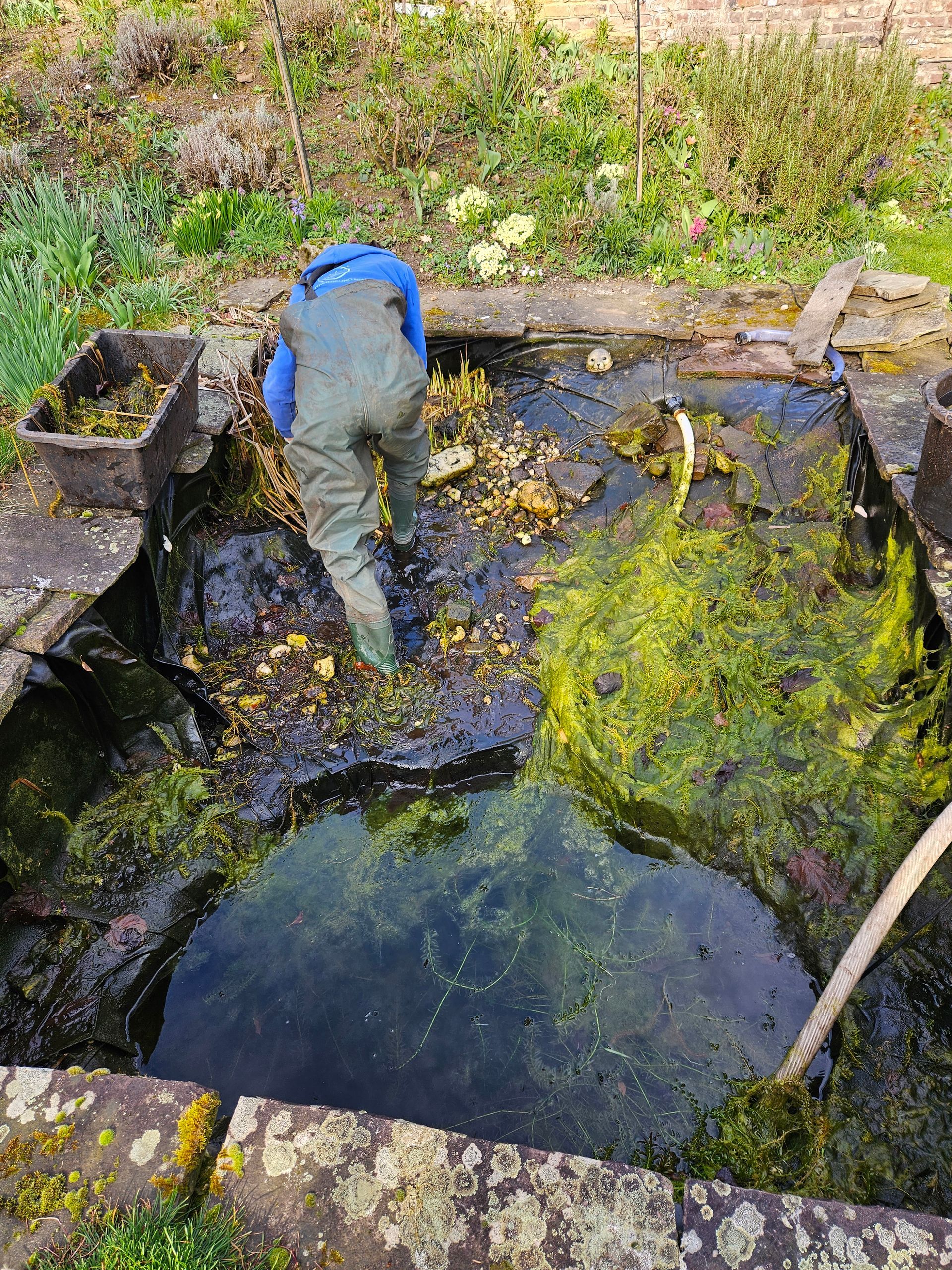 Teichreinigung Wesel