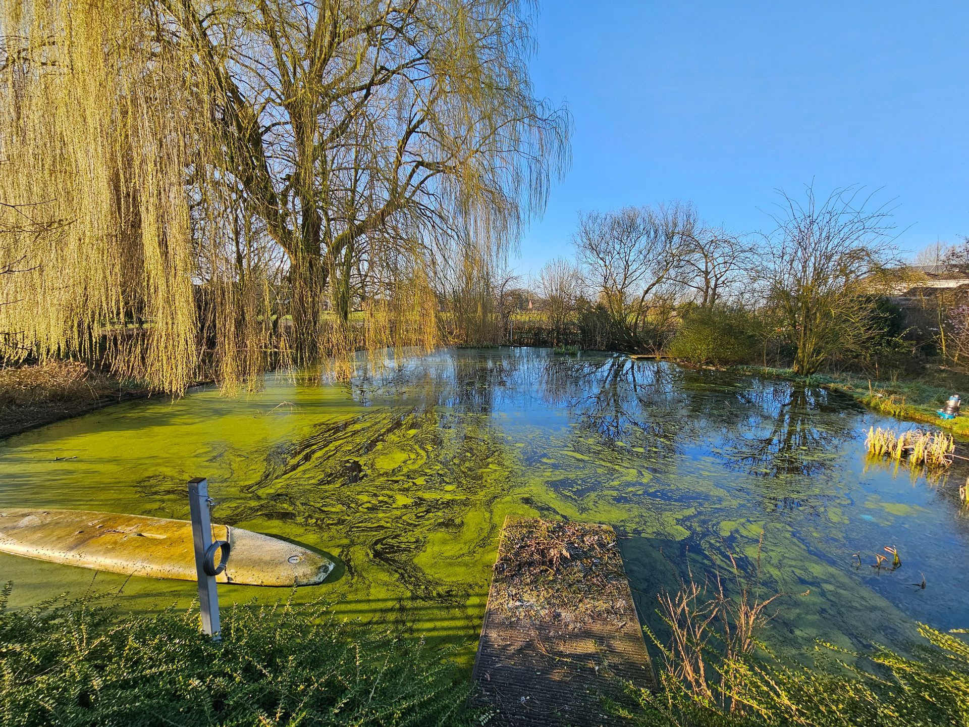 Teichreinigung Moers