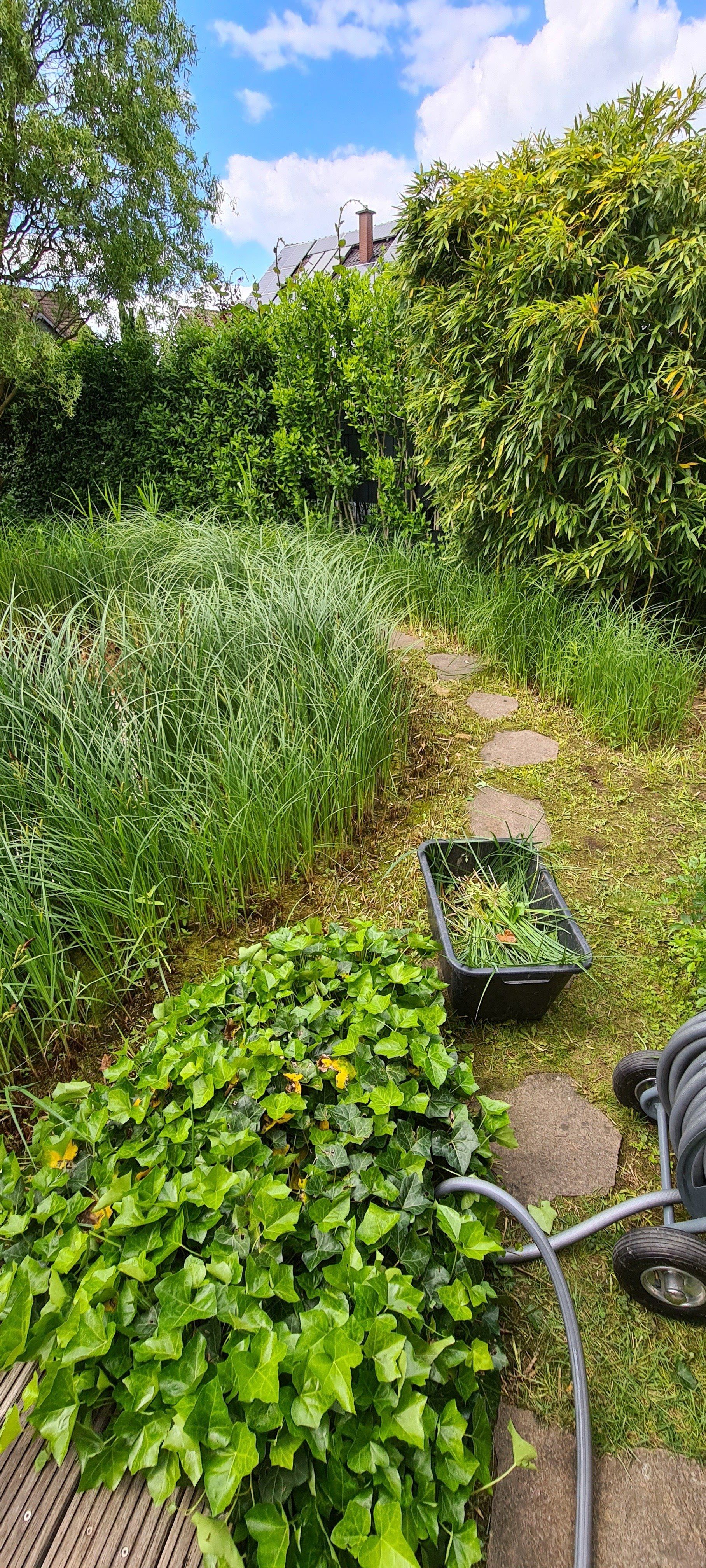 Teichreinigung in Nordrhein-Westphalen NRW