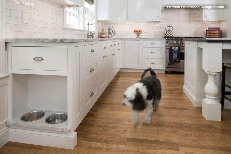 White Kitchen Cabinets And Dog In The Kitchen — Kitchen Cabinet Design in Goonellabah, NSW
