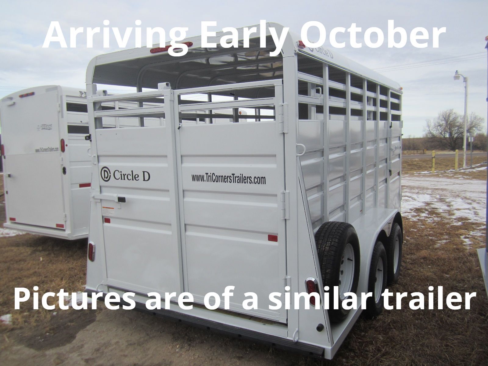 2025 Circle D 6x16 BH Livestock Trailer