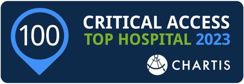 Critical Access Top Hospital 2023 by Chartis