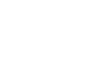 AES Aleternative Energy Solutions Company Logo