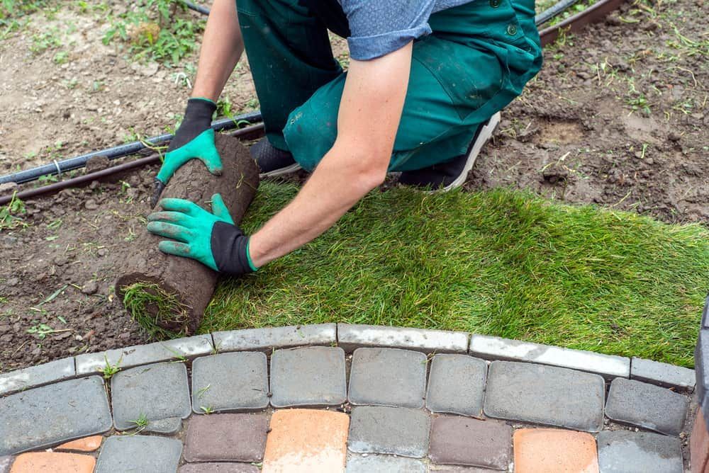 A Man Is Rolling a Roll of Grass on A Brick Sidewalk — Green Vision NT in Virginia, NT