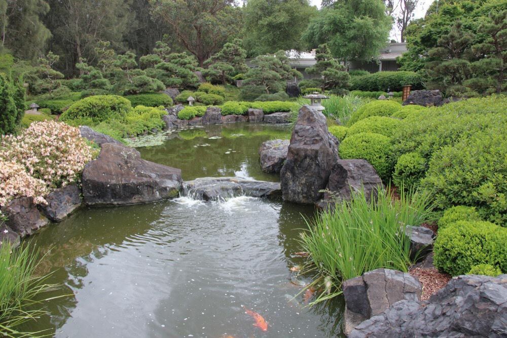 A Pond Surrounded by Rocks and Trees in A Garden — Green Vision NT in Palmerston, NT