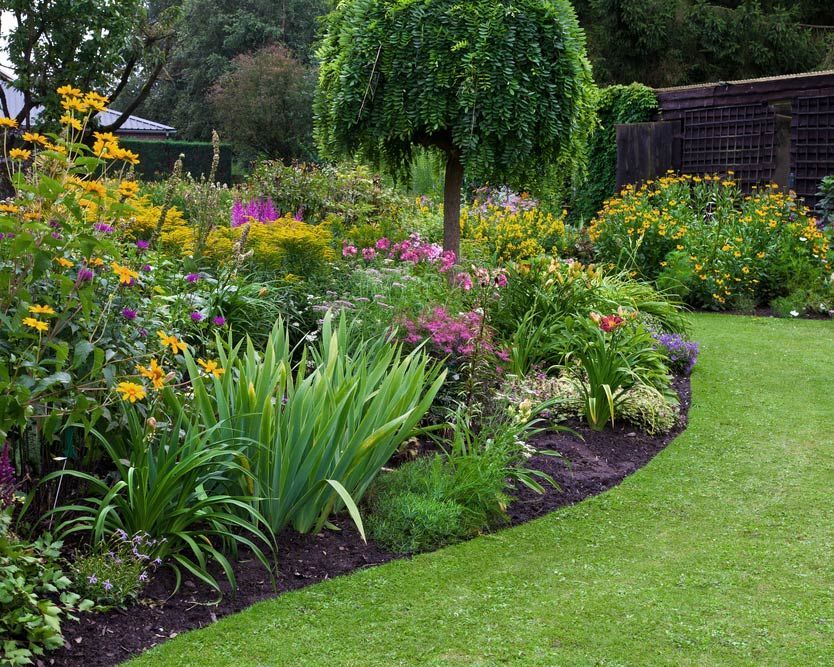 Bush With Flowers in the Garden — Green Vision NT in Zuccoli, NT