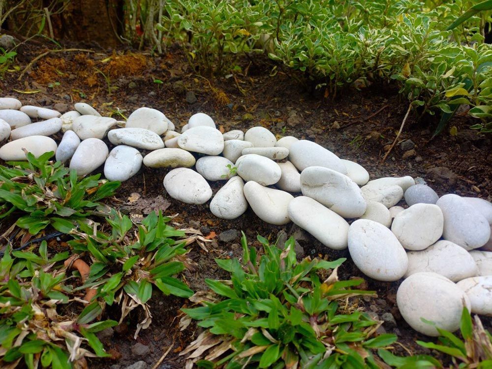 A Pile of White Rocks in A Garden Surrounded by Green Plants — Green Vision NT in Virginia, NT