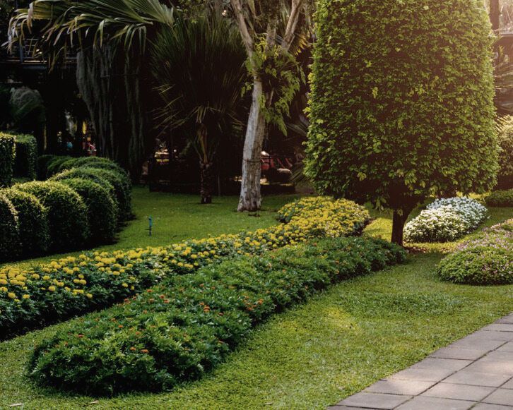 A Lush Green Garden with Lots of Plants and Trees — Green Vision NT in Fannie Bay, NT