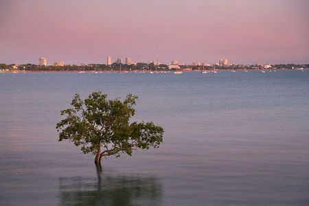 Spectacular Fannie Bay Sunset over the Water — Green Vision NT in Lee Point, NT