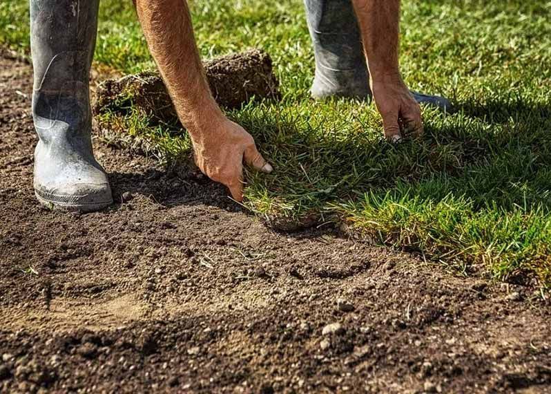 A Man Is Laying Grass on Top of A Pile of Dirt — Green Vision NT in Virginia, NT
