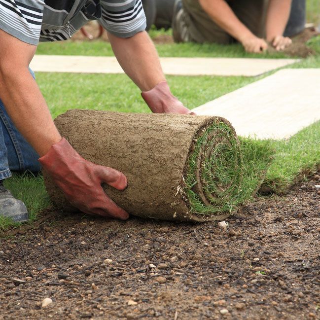 Worker Layering Grass for a Greener Landscape — Green Vision NT in Palmerston, NT