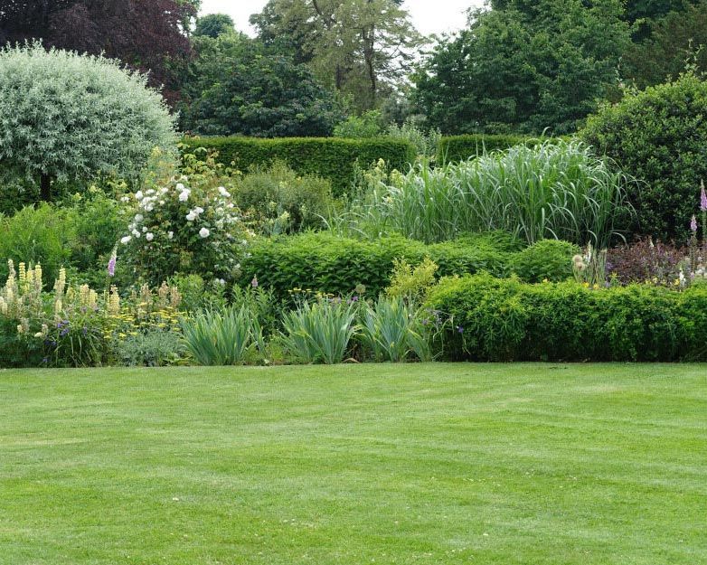 Explore the Tranquil Backyard Garden Oasis — Green Vision NT in Fannie Bay, NT