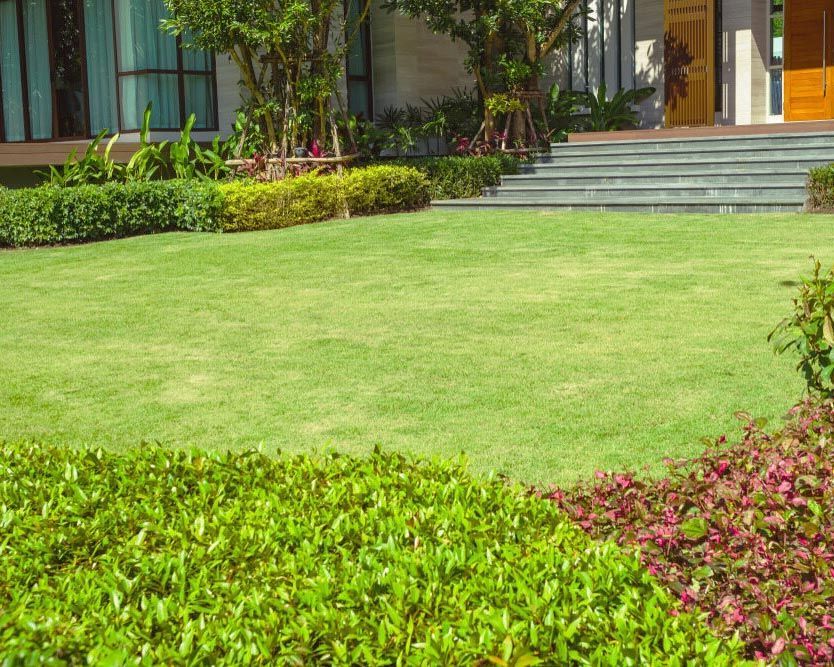 A Large Lush Green Lawn in Front of A House — Green Vision NT in Brinkin, NT