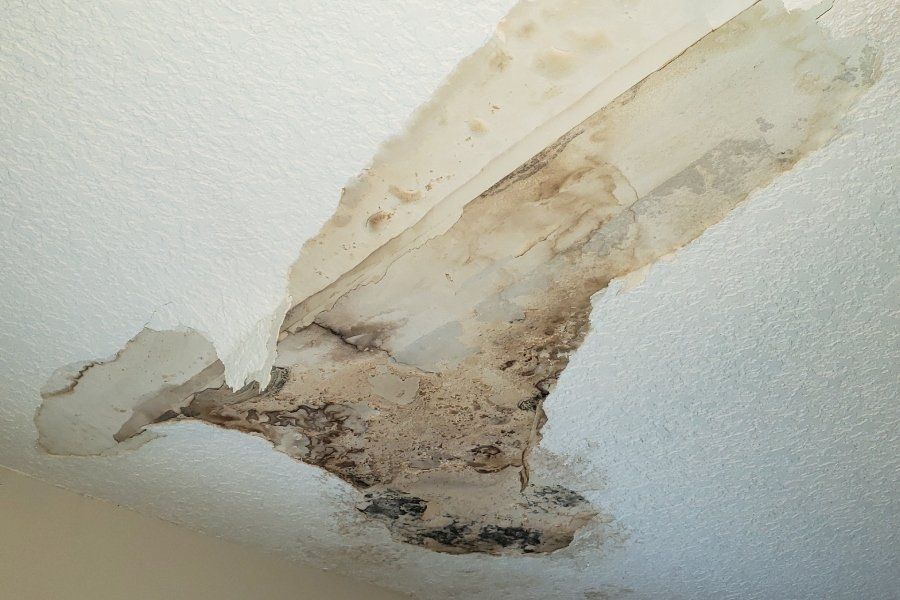 Mold on Ceiling