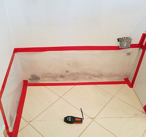 Mold in Kitchen Room