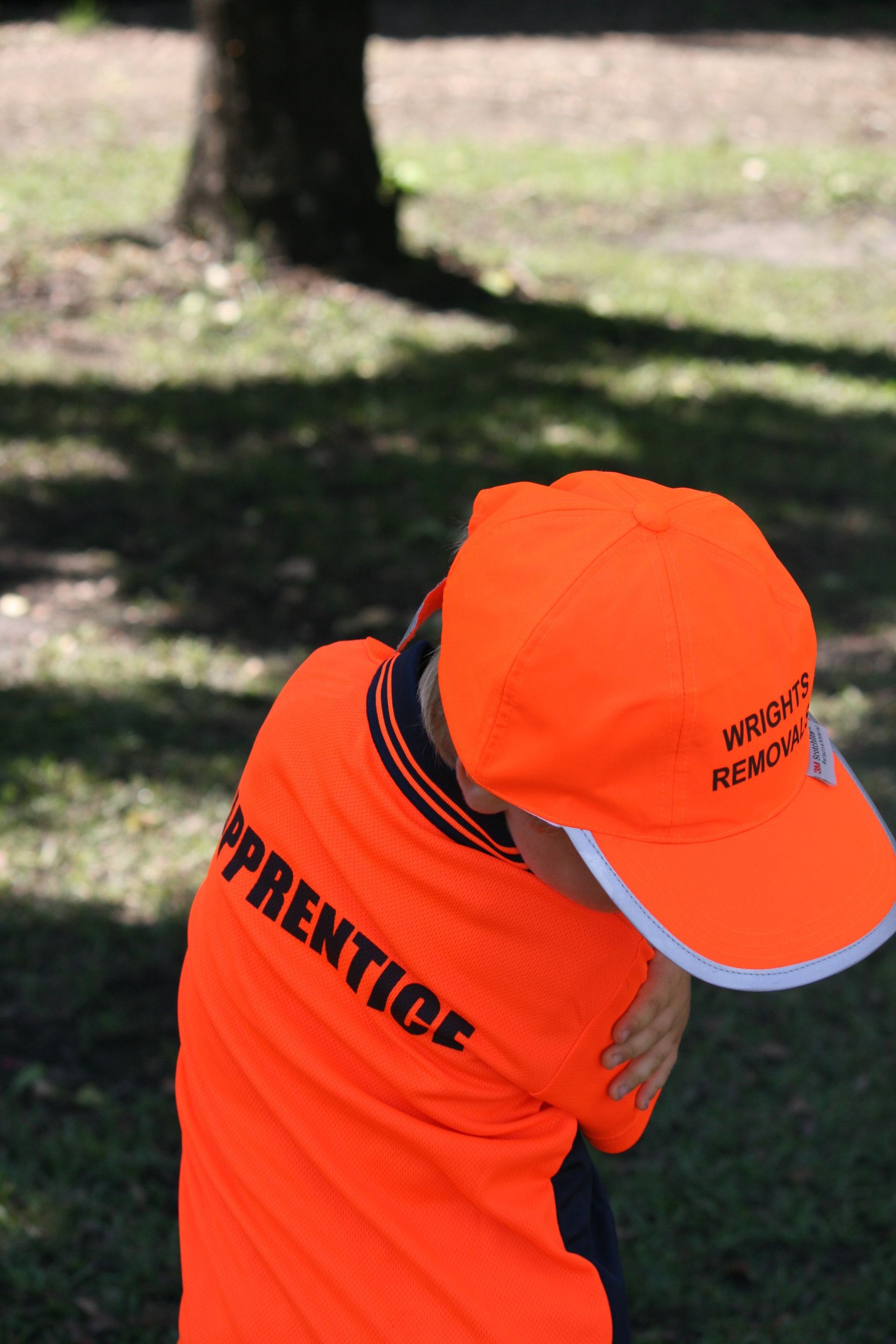 professional removal services