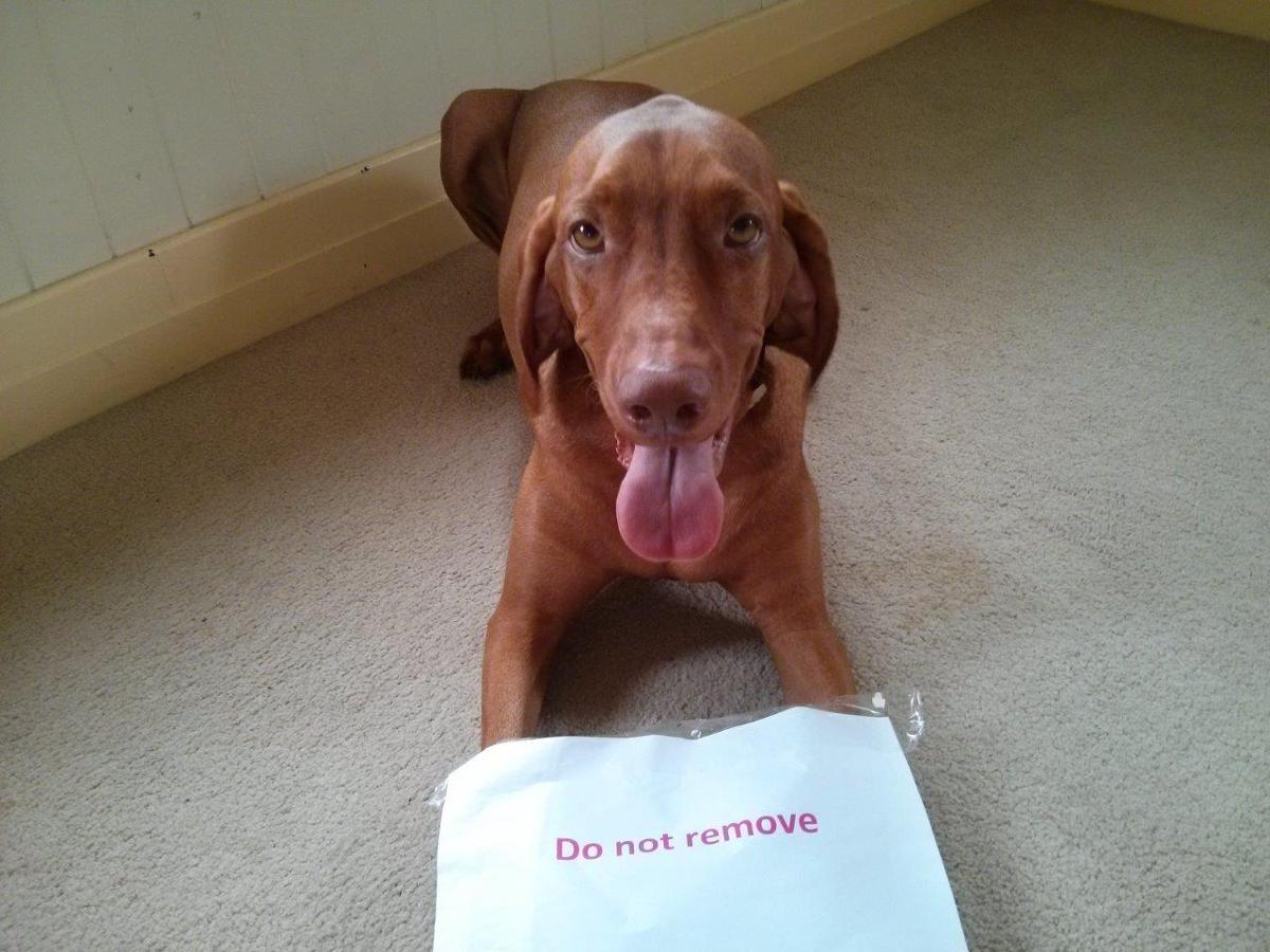 furniture storage brisbane