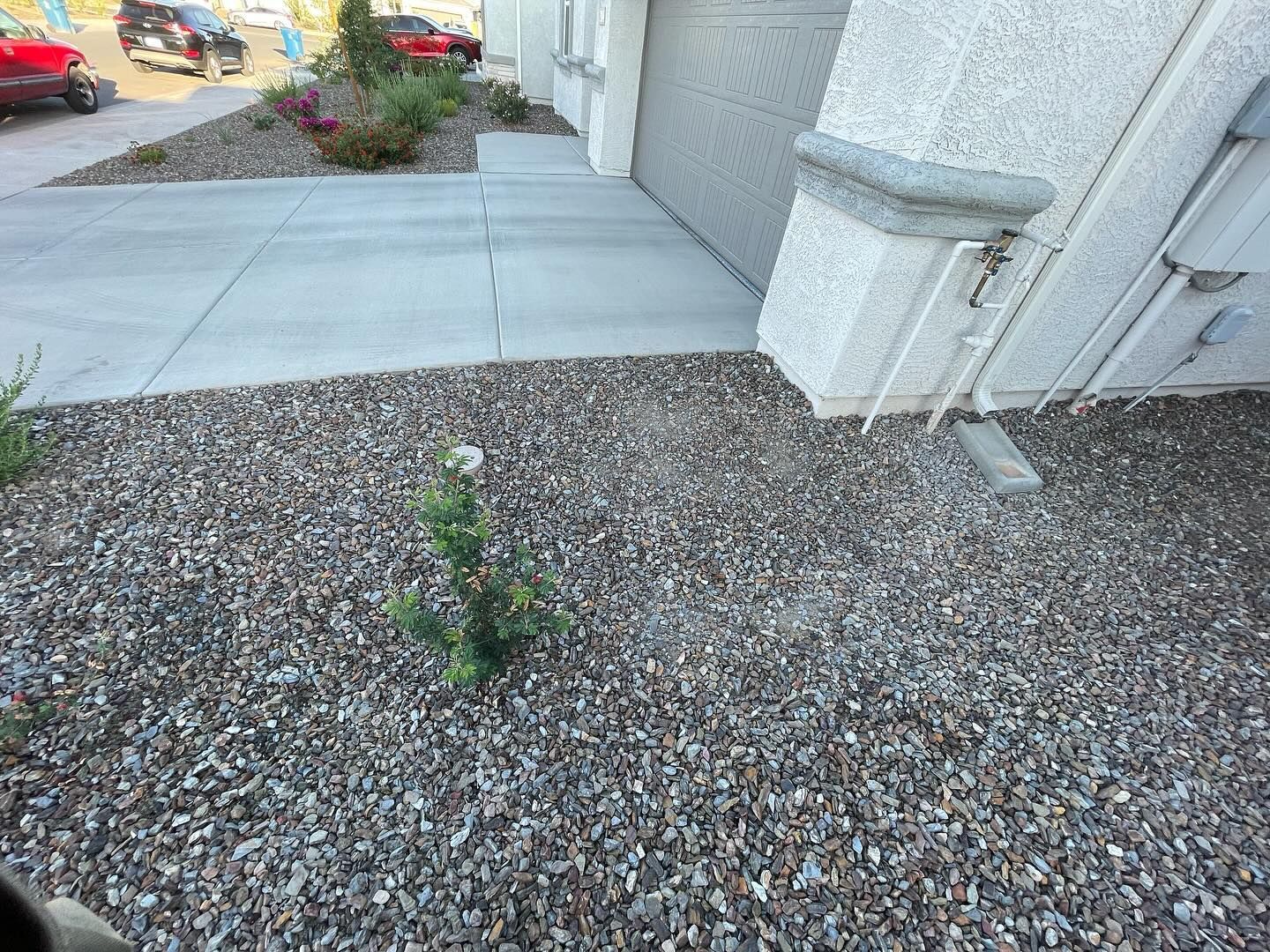 Gravel landscaping with a small evergreen tree, next to a concrete sidewalk and building.