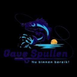 Gave Spullen fishing logo with jumping fish, blue water splash, and slogan “Nu binnen bereik!”