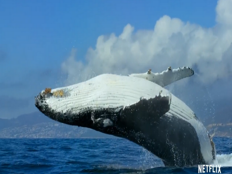 Polarsound Productions | Music Production | SFX Remake