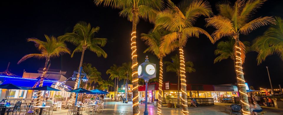 Trees and restaurant full of light — Fort Myers, FL — Berkshire Bay Contractors Inc.