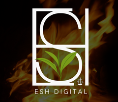 Esh Digital / Digital Marketing