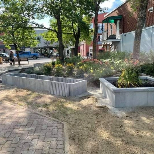 Un parc avec beaucoup de jardinières et d'arbres