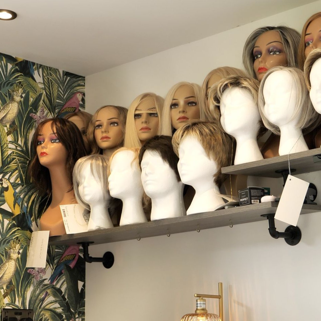 Human Hair Wigs