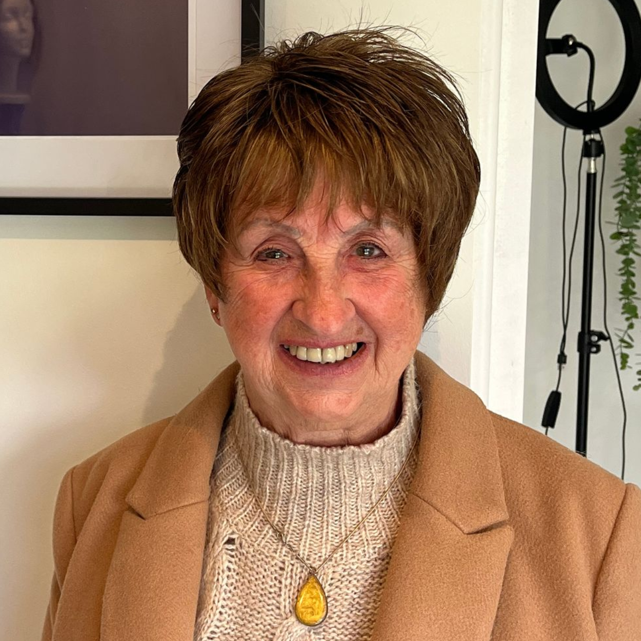 Fibre Wig style short brunette