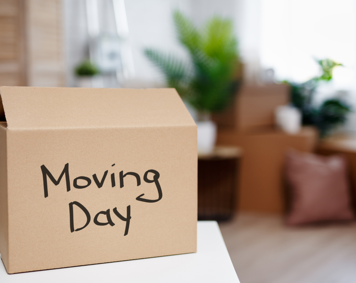 moving services essex