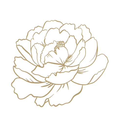 A line drawing of an orchid flower on a white background.