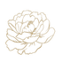Spa la la logo outline of peonie flower in gold