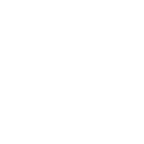 spa la la tampa logo outline of peonie flower in gold