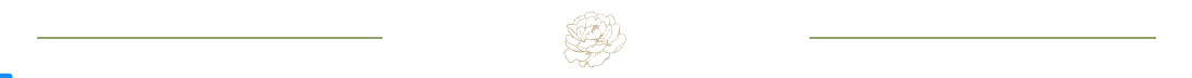 A white background with a few lines on it