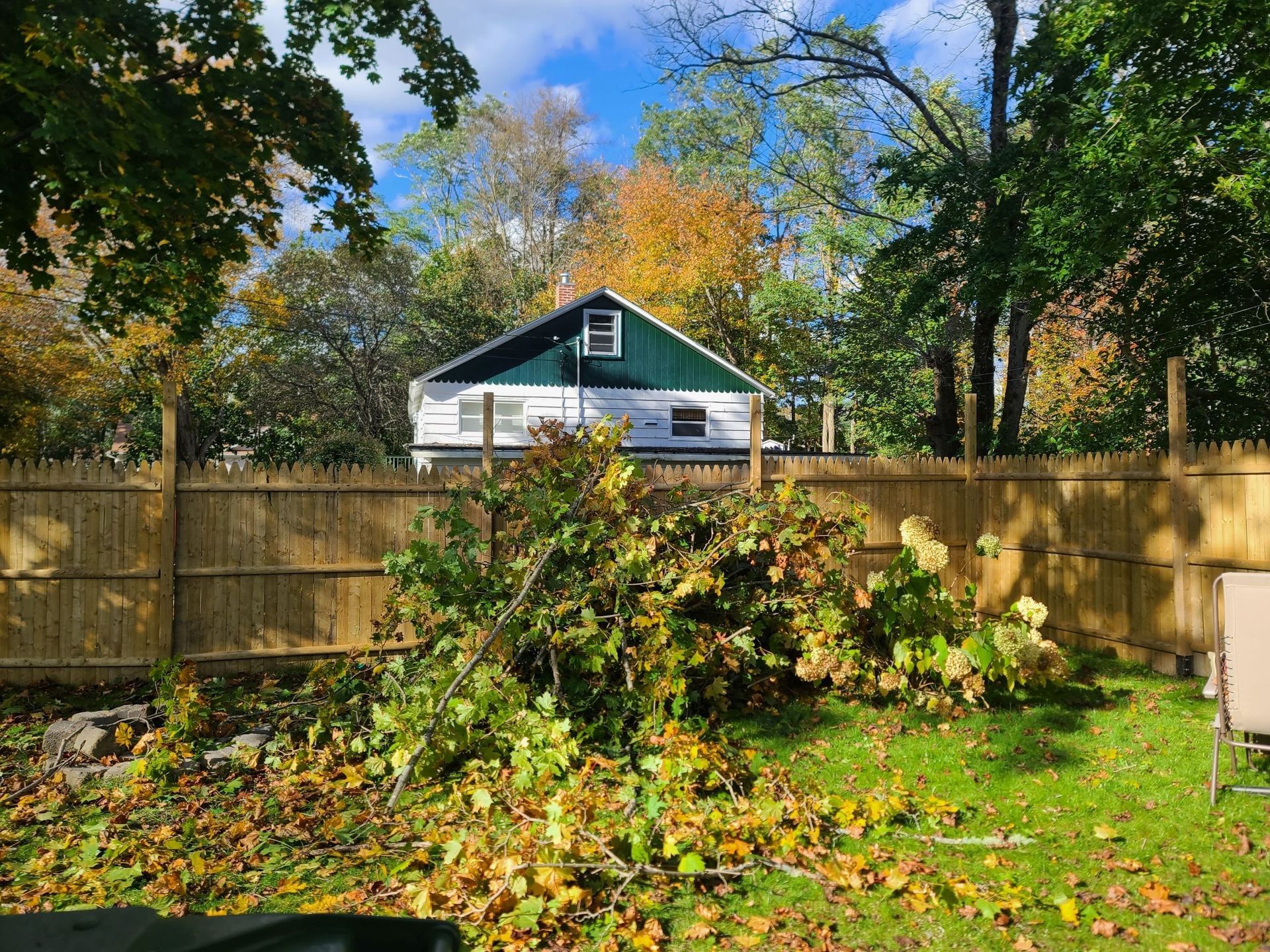 A backyard with a wooden fence and a pile of cut tree branches, with a two-story house visible in the background.