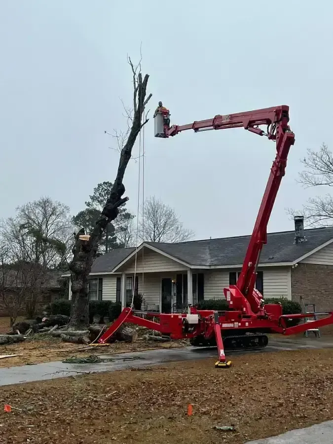 A red aerial lift parked in a residential driveway, with a worker in the bucket trimming the top of a tall, bare tree.