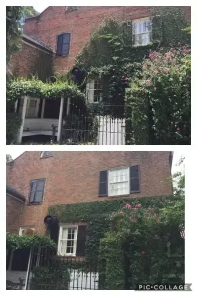 Two photos show a red brick house exterior with dark shutters, white-framed windows, and overgrown climbing ivy.