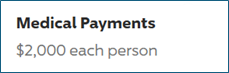 Medical Payments: $2,000 each person.