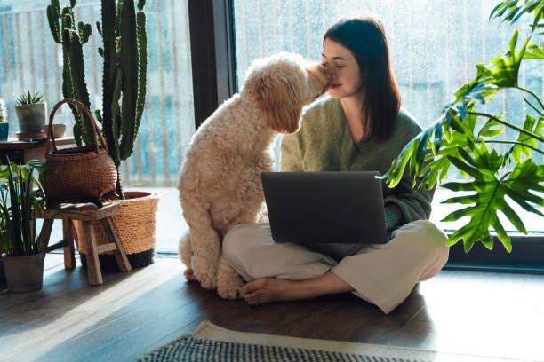 Woman sitting cross-legged with laptop, being kissed by a fluffy dog indoors near plants and window.