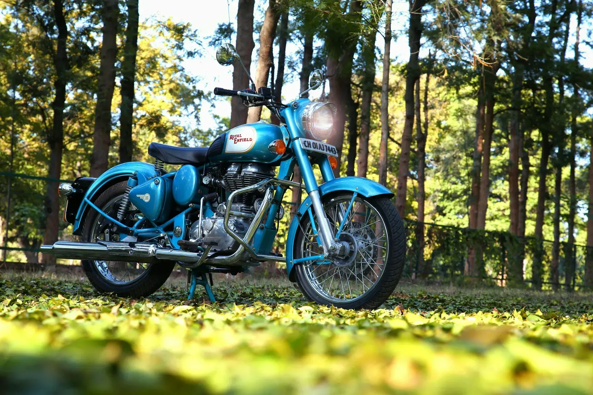 Blue Royal Enfield motorcycle parked on grass in a forest setting.